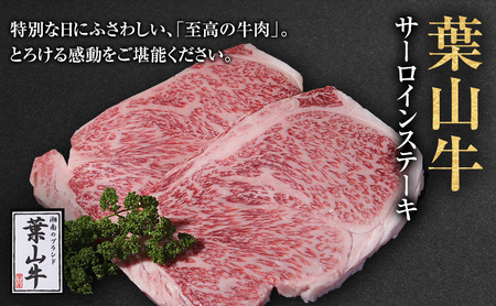 ステーキ 冨士屋牛肉店がお届けする 葉山牛 サーロインステーキ 約250g × 2枚 和牛 サーロイン 牛肉