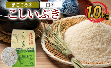 まごころ米こしいぶき10kg（白米）