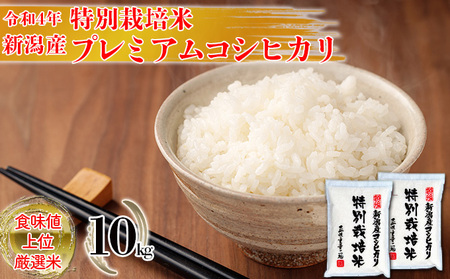 令和5年産 特別栽培米 新潟産コシヒカリ白米 10kg（5kg×2）