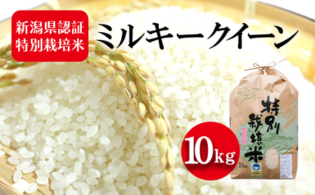 令和5年産 新潟県認証特別栽培米 ミルキークイーン 10kg