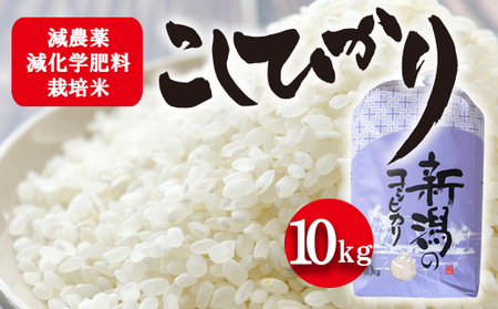 令和5年産 栽培期間中減農薬・減化学肥料栽培米 こしひかり10kg