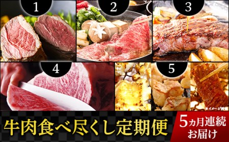 76-73【5ヶ月連続お届け】牛肉食べ尽くし定期便