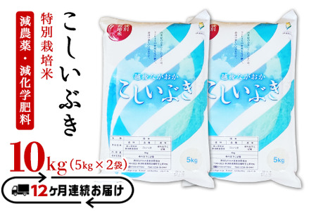 75-3K10Z【12ヶ月連続お届け】新潟県長岡産特別栽培米こしいぶき10kg（5kg×2袋）