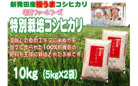 令和5年産 新潟県産 坂井ファーム 特別栽培米コシヒカリ 10kg (5kg×2袋)【 新潟 新発田 米 玄米 こしひかり 10kg 5kg D34_01 】