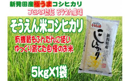 令和5年産 新潟県産 そうえん米コシヒカリ 5kg 【 新潟県 新潟産 新潟米 新発田産 新発田 お米 米 玄米 コシヒカリ とんとん市場 せいだ そうえん米 5kg 数量限定 D81 】