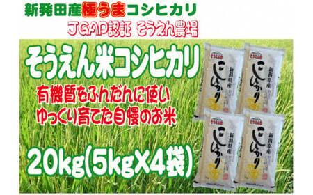 令和5年産 新潟県産 そうえん米コシヒカリ 20kg 5kg×4袋【 新潟県 新潟産 新潟米 新発田産 新発田 お米 米 玄米 コシヒカリ とんとん市場 せいだ そうえん米 5kg 20kg 4袋 数量限定 D82 】