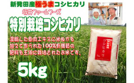 令和5年産 新潟県産 坂井ファーム 特別栽培米コシヒカリ 5kg【 新潟 新発田 米 玄米 こしひかり 5kg D83 】