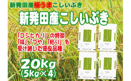 令和5年産 新潟県産こしいぶき 20kg （5kg×4袋） 【 新潟県 新潟産 新潟米 新発田産 新発田 お米 米 こしいぶき とんとん市場 せいだ 5kg 20kg 数量限定 玄米 D86 】