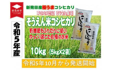 令和5年産 新潟県産 そうえん米コシヒカリ 5kg×2袋 【 新潟県 新潟産 新潟米 新発田産 新発田 お米 米 玄米 コシヒカリ とんとん市場 せいだ そうえん米 5kg 2袋 10kg 数量限定 D09_01 】