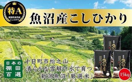 日本棚田百選のお米　天空の里・魚沼産こしひかり　１５ｋｇ（５ｋｇ×３）