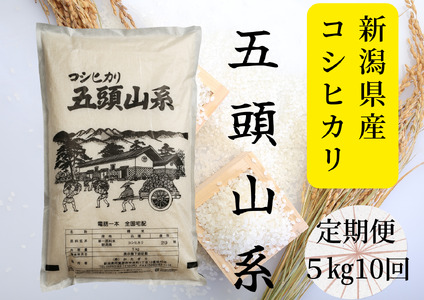 【10回定期便】「米屋のこだわり阿賀野市産」コシヒカリ５kg×10回 1E23086