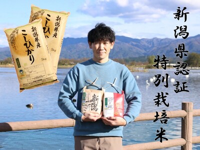 【新潟県認証米】 10kg (5kg×2袋) 特別栽培米 従来コシヒカリ 阿賀野市産 丸山農園 3F02020
