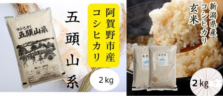 「米屋のこだわり阿賀野市産」コシヒカリ玄米＆白米 各2kgセット 1E10012