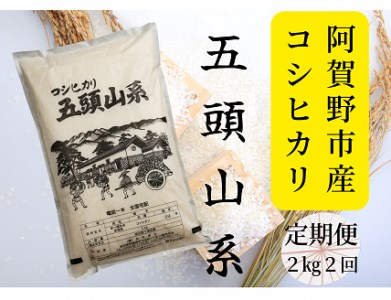 【2回定期便】「米屋のこだわり阿賀野市産」コシヒカリ２kg×２回 1E04010