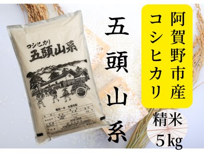 「米屋のこだわり阿賀野市産」コシヒカリ５kg 1E01009