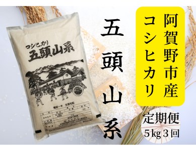 【3回定期便】「米屋のこだわり阿賀野市産」コシヒカリ５kg×３回 1E06027