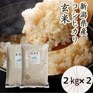 「米屋のこだわり阿賀野市産」GOZU自然米 玄米２kg×２袋 1E13016