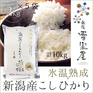 阿賀野産コシヒカリ「雪室米」10kg（雪室氷温熟成） 1J10026