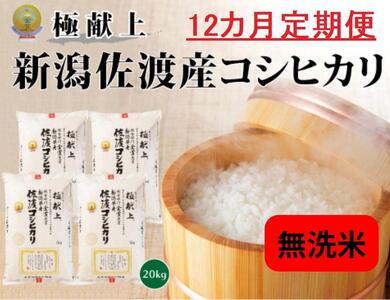  無洗米20kg 新潟県佐渡産コシヒカリ20kg(5kg×4)×12回「12カ月定期便」