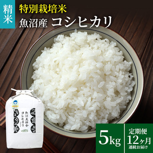米農家自慢の 特別栽培米 魚沼産 コシヒカリ（精米）5kg×1袋 12ヶ⽉連続お届け