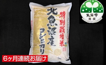 【特別栽培米】北魚沼産コシヒカリ（精米）5kg　6ヶ月連続お届け