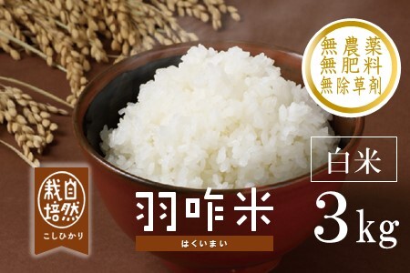 [A016] 【無農薬】【白米】能登のこだわり自然栽培こしひかり『羽咋米』 ３kg