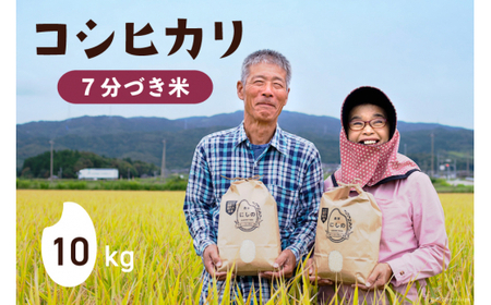 【期間限定発送】 米 令和6年 コシヒカリ 7分づき 10kg×1 [農家にしの 石川県 宝達志水町 38600876] 米 お米 ご飯 ごはん こしひかり 石川 美味しい