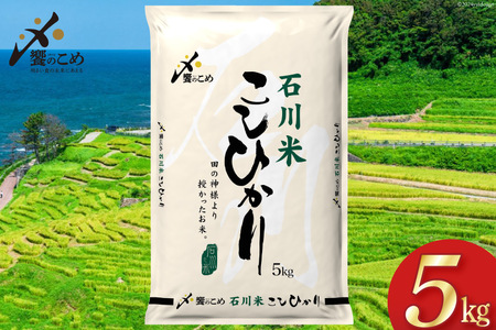 【期間限定発送】 米 令和6年 石川県産 石川米こしひかり【穂立】5kg [中橋商事 饗のこめ (あえのこめ) 石川県 宝達志水町 38600954] コシヒカリ お米 コメ 白米 精米 おこめ こめ 5キロ ごはん ご飯 国産