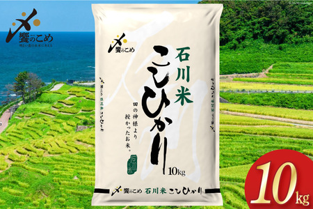 【期間限定発送】 米 令和6年 石川県産 石川米こしひかり【穂立】10kg [中橋商事 饗のこめ (あえのこめ) 石川県 宝達志水町 38600955] コシヒカリ お米 コメ 白米 精米 おこめ こめ 10キロ ごはん ご飯 国産