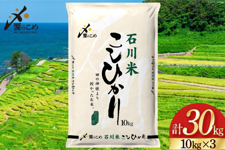 【期間限定発送】 米 令和6年 石川県産 石川米こしひかり【穂立】30kg（10kg ×3袋）[中橋商事 饗のこめ (あえのこめ) 石川県 宝達志水町 38600957] コシヒカリ お米 コメ 白米 精米 おこめ こめ 30キロ ごはん ご飯 国産