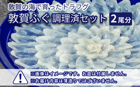 [先行予約]【11月発送】 敦賀ふぐ 調理済セット 2尾分（約1200g）てっちりやしゃぶしゃぶなどに【海鮮 冷凍 鍋 なべ 唐揚げ 薄造り ふぐ鍋】[041-b001-11] 