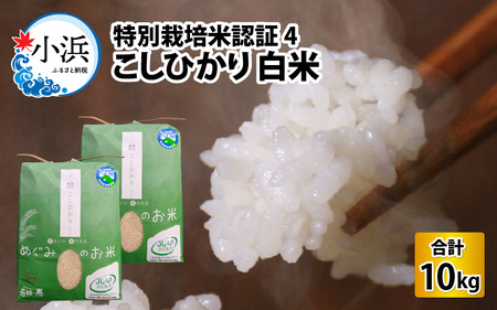 【令和5年産】特別栽培米認証4こしひかり 白米5kg×2袋 [A-002022]