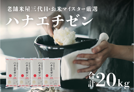 【令和5年産】ハナエチゼン 20kg（5kg × 4袋） /  米 白米 ごはん ご飯 コメ おにぎり お米 福井