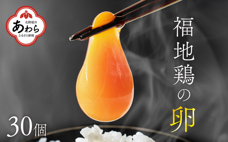 濃厚で甘くておいしい！ 福井ブランド「福地鶏」の卵 30個（15個入×2段）