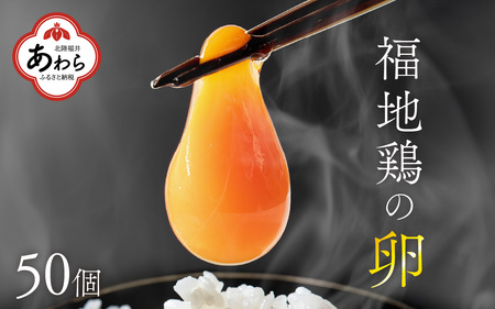 濃厚で甘くておいしい！ 福井ブランド「福地鶏」の卵 50個（25個入×2段）