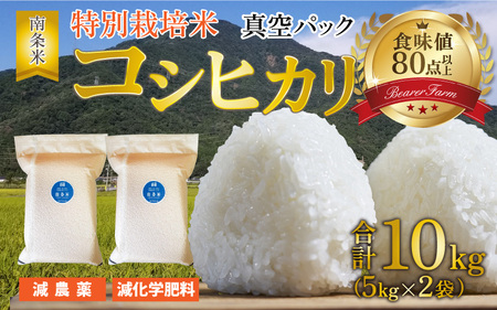 【令和5年産】南条米 特別栽培米コシヒカリ 真空パック 10kg(5kg×2袋)[B-011003]