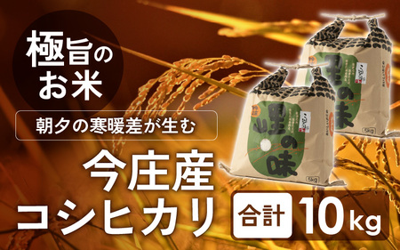 朝夕の寒暖差が生む極旨のお米 今庄産 コシヒカリ 10kg(5kg×2袋) [B-004003]