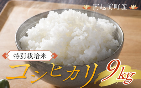 令和5年度産 特別栽培米 コシヒカリ 9kg[B-012017]