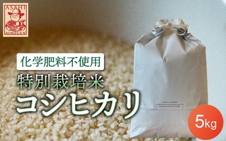 令和5年産 特別栽培米コシヒカリ５kg （精米） こしひかり 農薬減  有機肥料 送料無料 [e18-a004]