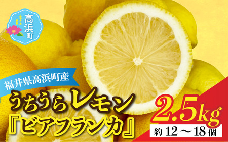 【先行予約】【福井県高浜町】日本海で育ったうちうらレモン「ビアフランカ2.5kg」皮まで丸ごと食べられます！【1月初旬より順次発送】
