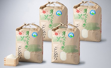福井県若狭町産特別栽培米コシヒカリ 20kg［高島屋選定品］ 玄米