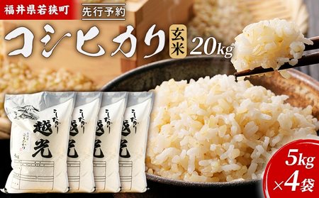 令和6年産福井県若狭町コシヒカリ（一等米）玄米　20kg（神谷農園） 5kg×4袋