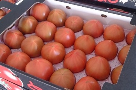 清野ファーム高糖度トマト　※令和６年７月～８月にお届け【18001】