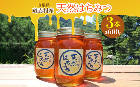 道志村産　天然はちみつ（600g×3本） DSD002　はちみつ ハチミツ　蜂蜜　ハニー