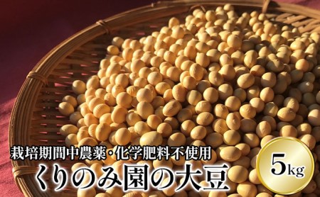 【栽培期間中農薬・化学肥料不使用】くりのみ大豆5kg