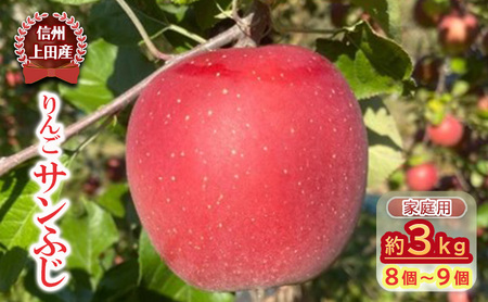 【信州上田産】りんご サンふじ 家庭用 約3kg（8個～9個）