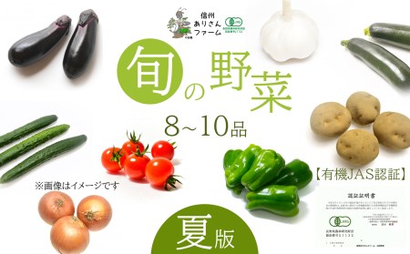 旬の野菜 8～10品 【夏版】 有機JAS認証
