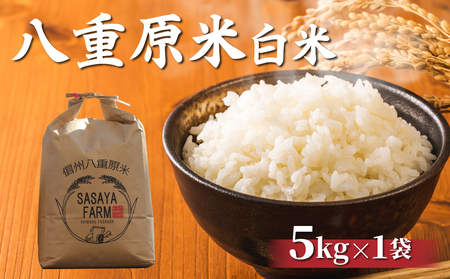 【笹屋農園】八重原米 精米【5kg】(5kg×1袋)