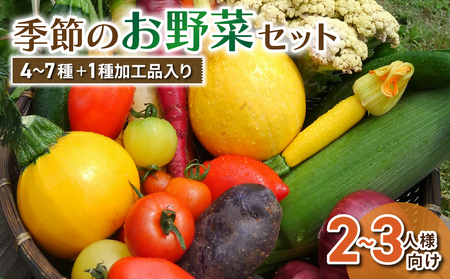 【アグロノーム】季節のお野菜セット（２?３人様向け）