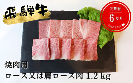【6ヶ月定期便】A5等級飛騨牛焼き肉用1.2kg ロース又は肩ロース肉